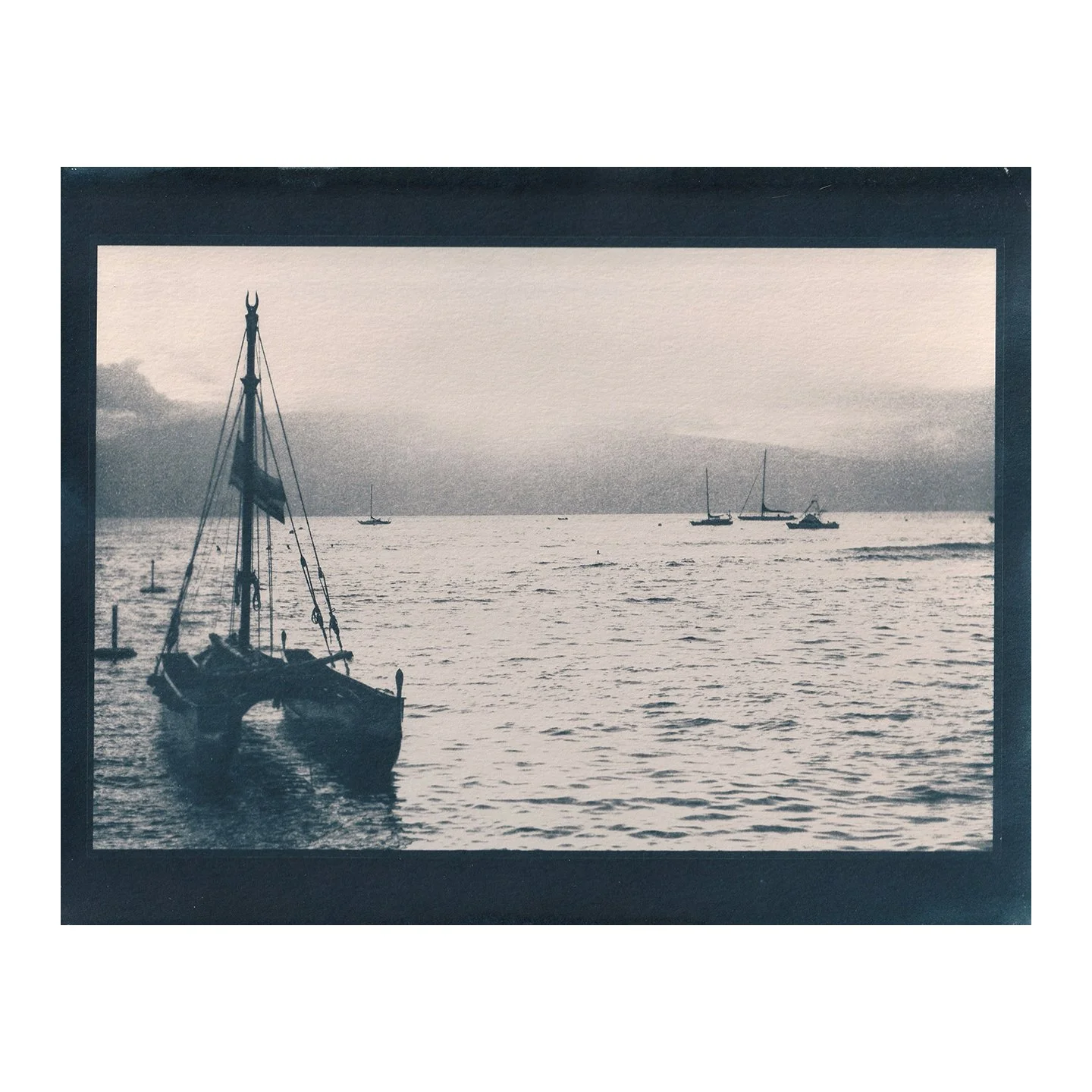 Cyanotype Print