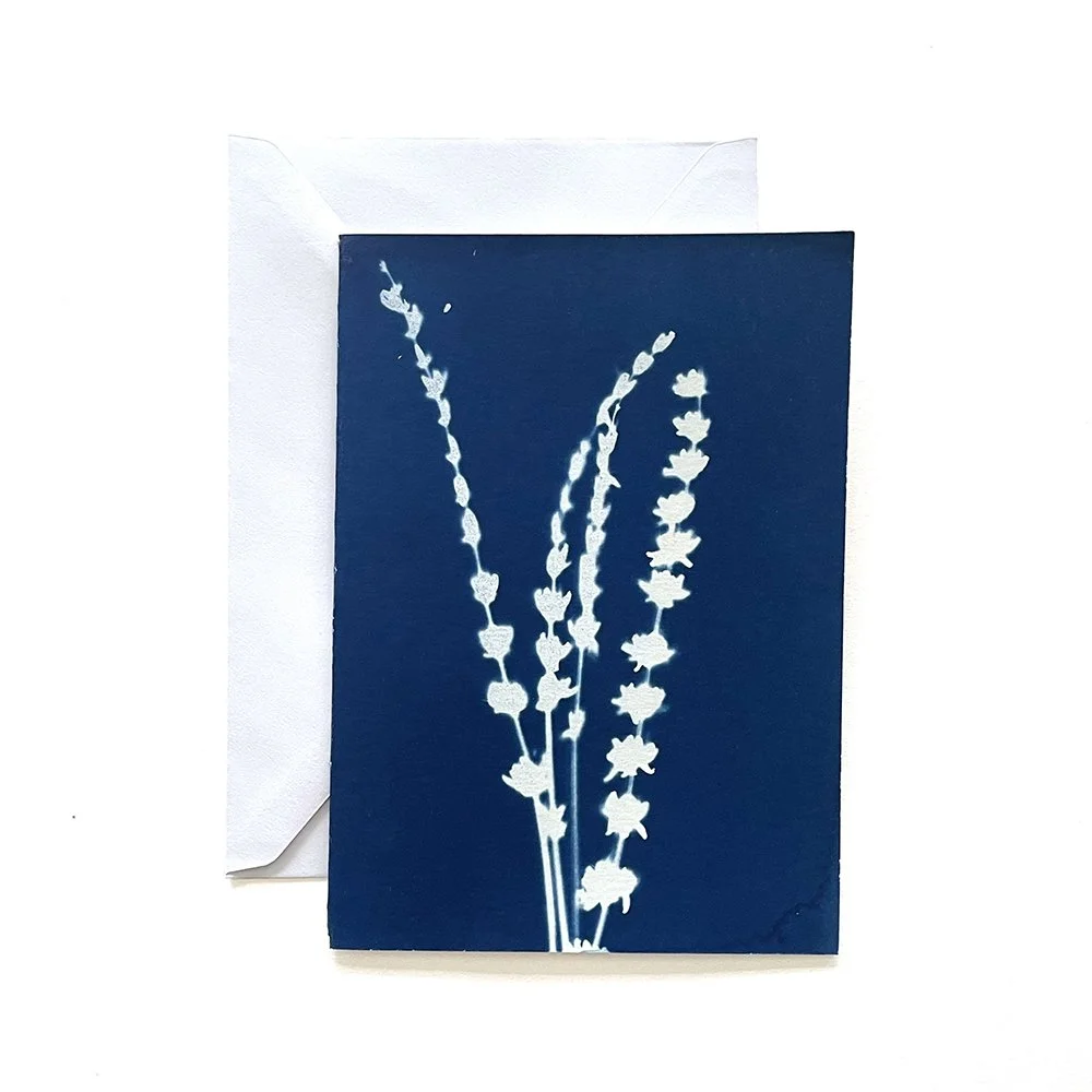 Cyanotype Greeting Card