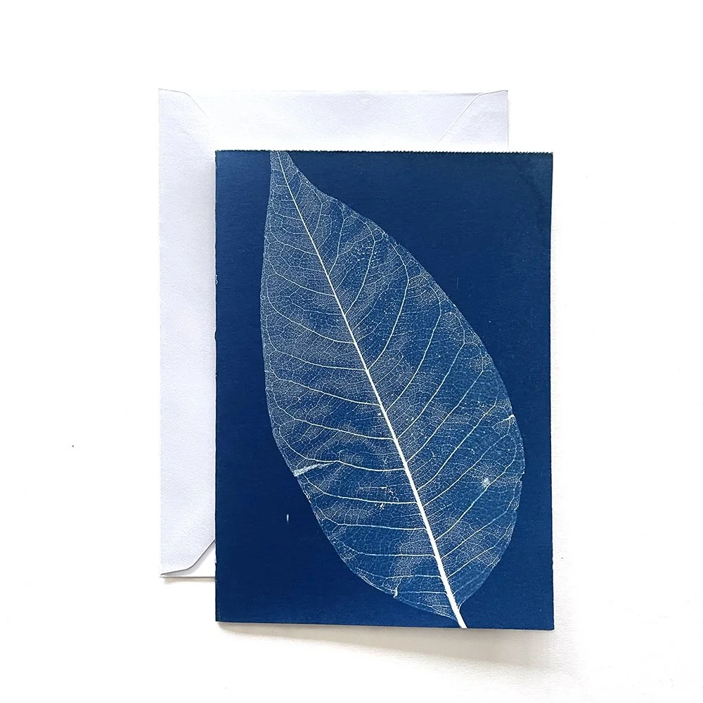 Cyanotype Greeting Card