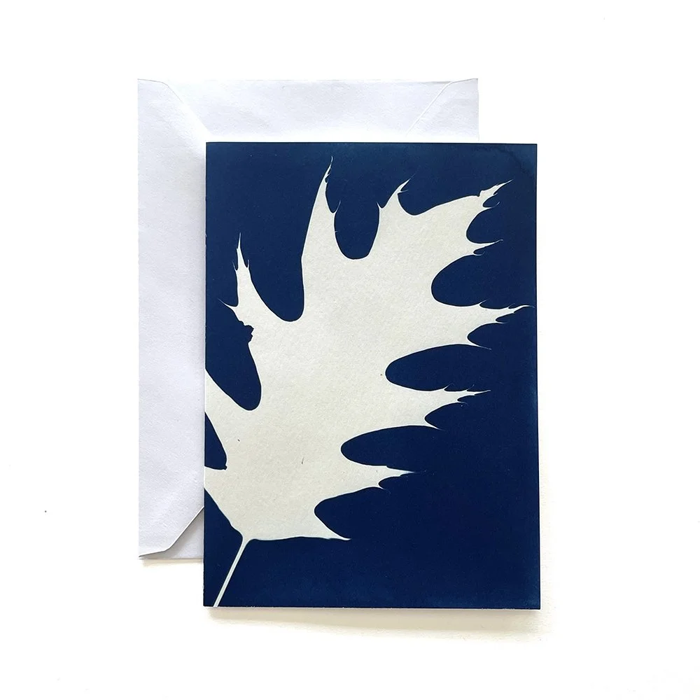 Cyanotype Greeting Card