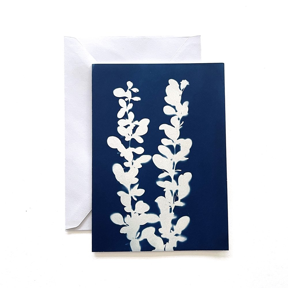 Cyanotype Greeting Card
