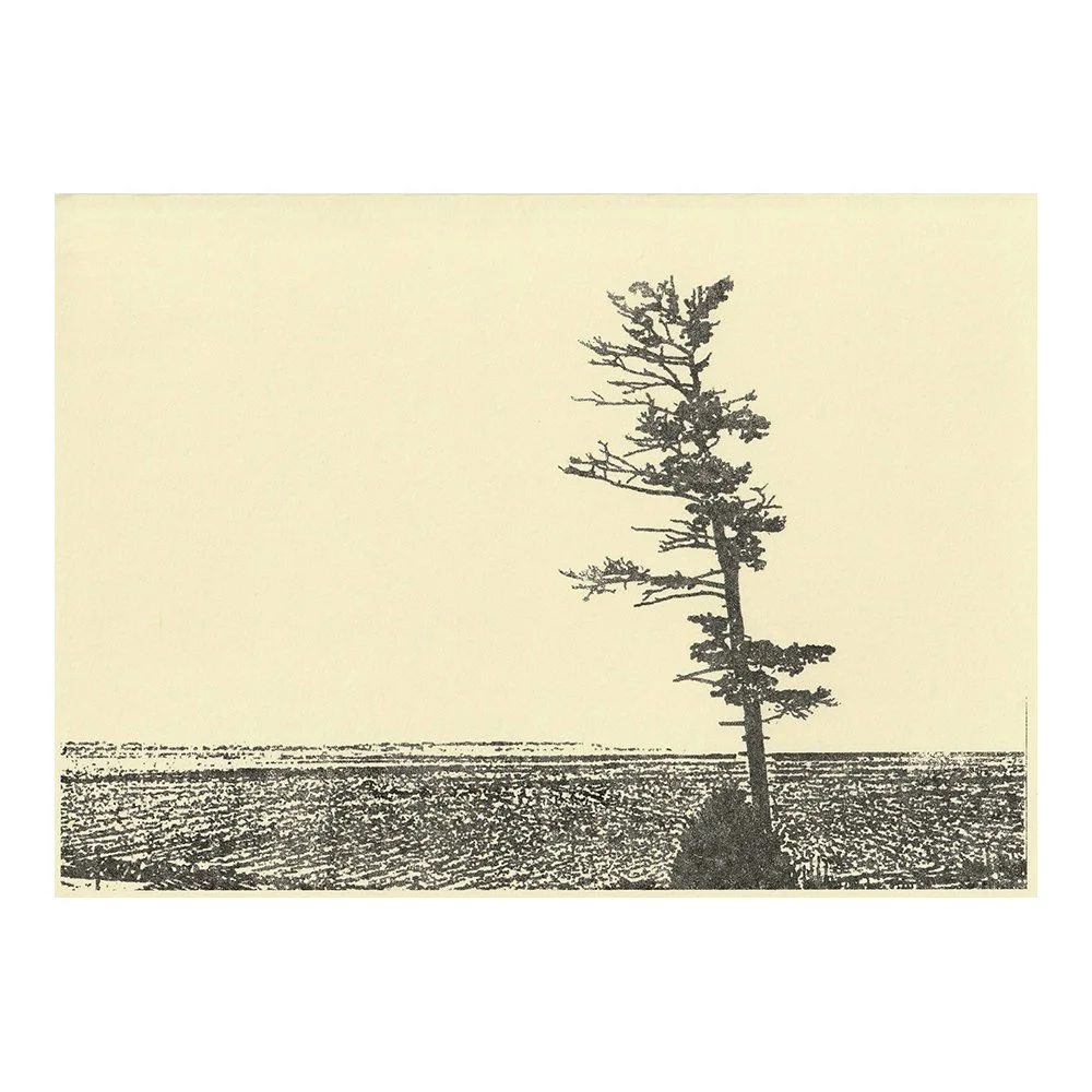 Image Transfer Print - 5" x 7"