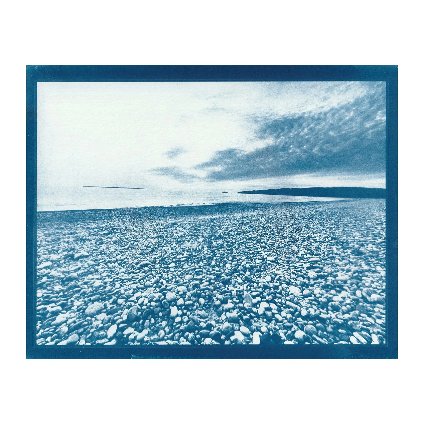 Cyanotype Print