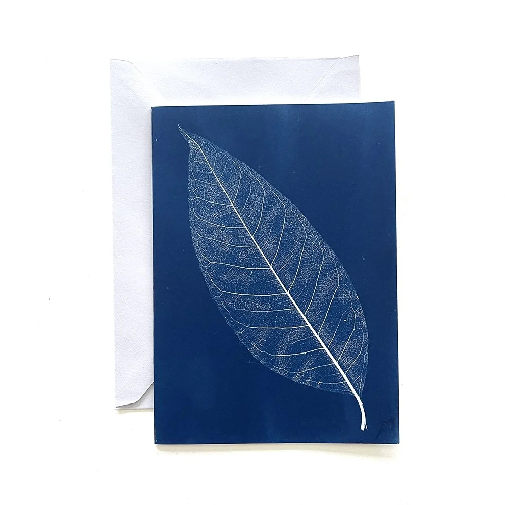 Cyanotype Greeting Card