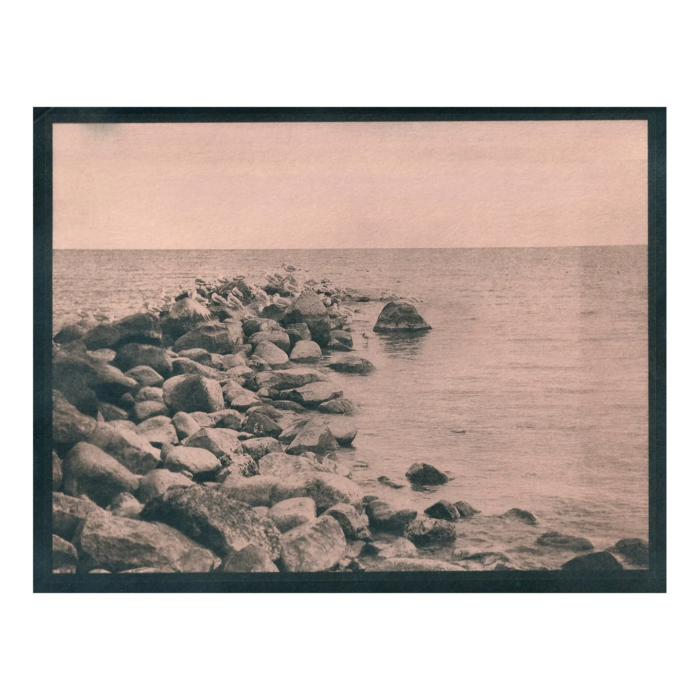 Cyanotype Print
