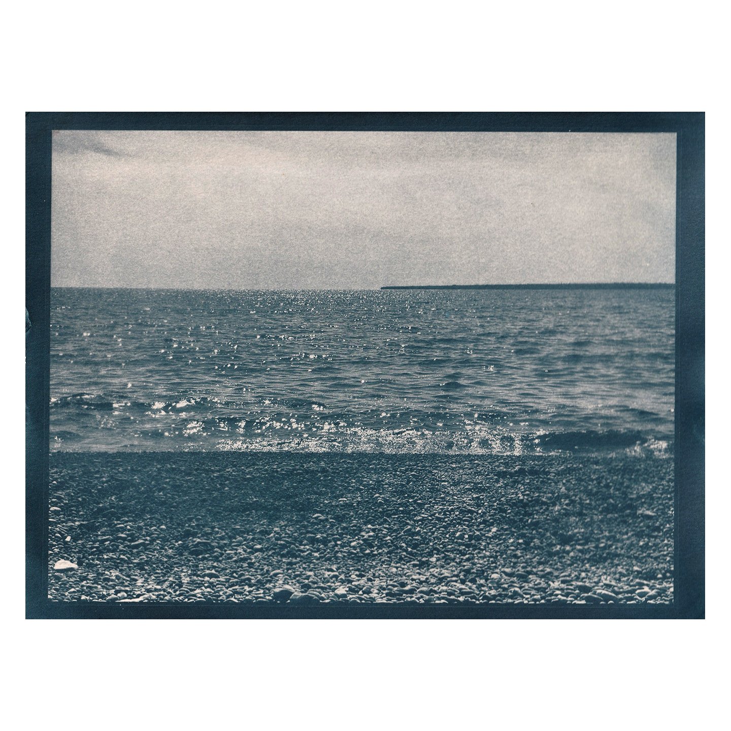 Cyanotype Print