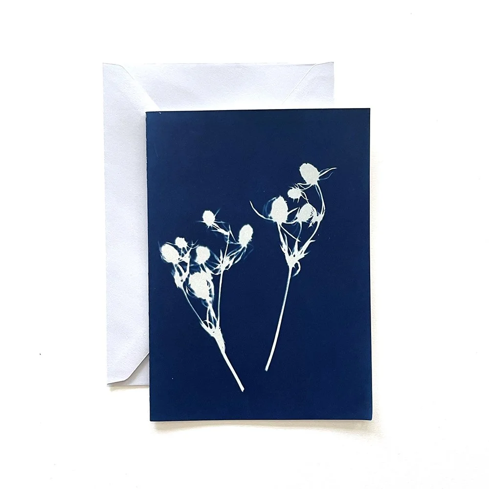 Cyanotype Greeting Card