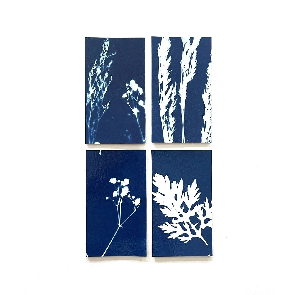 Cyanotype Magnets - Set of 4