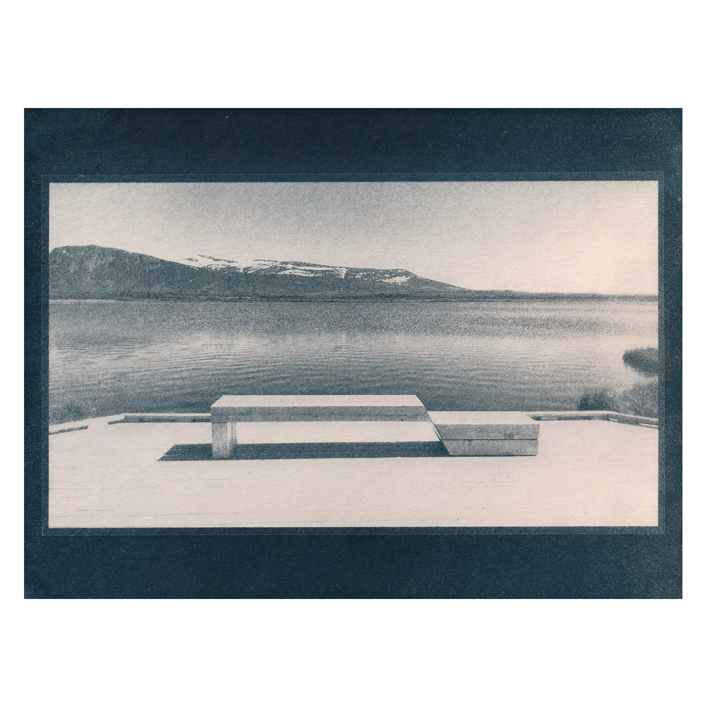 Cyanotype Print