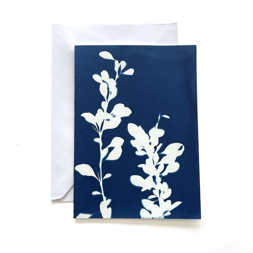 Cyanotype Greeting Card