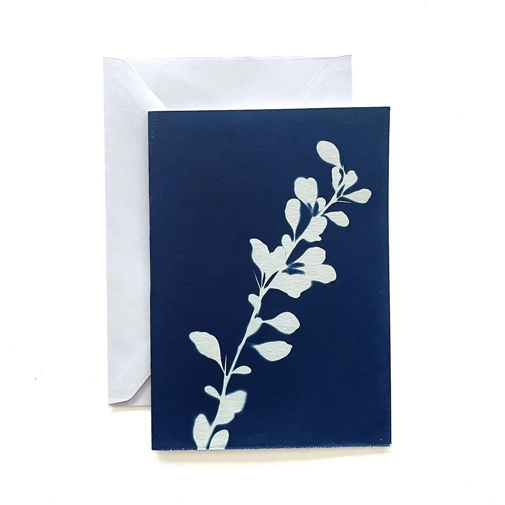 Cyanotype Greeting Card