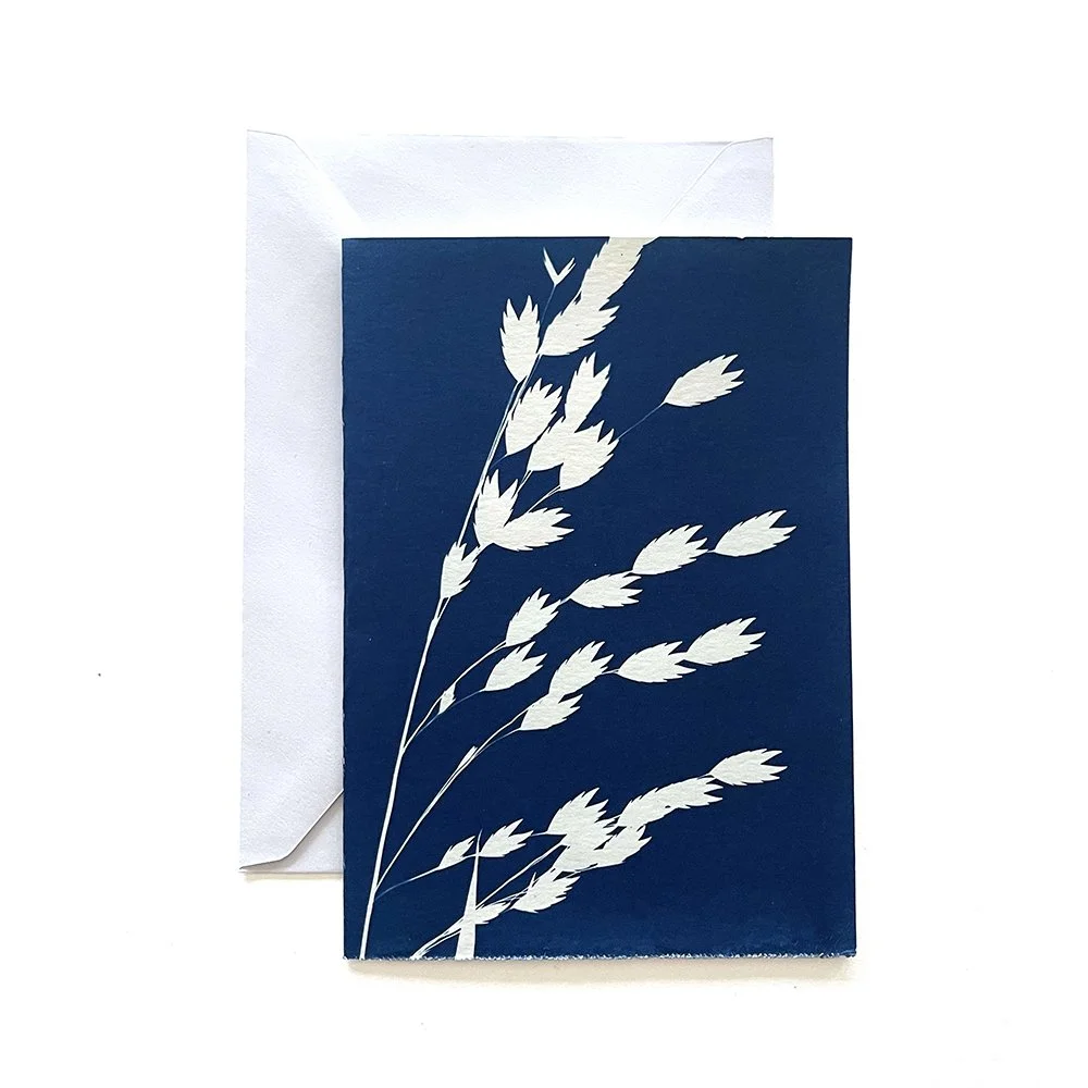 Cyanotype Greeting Card