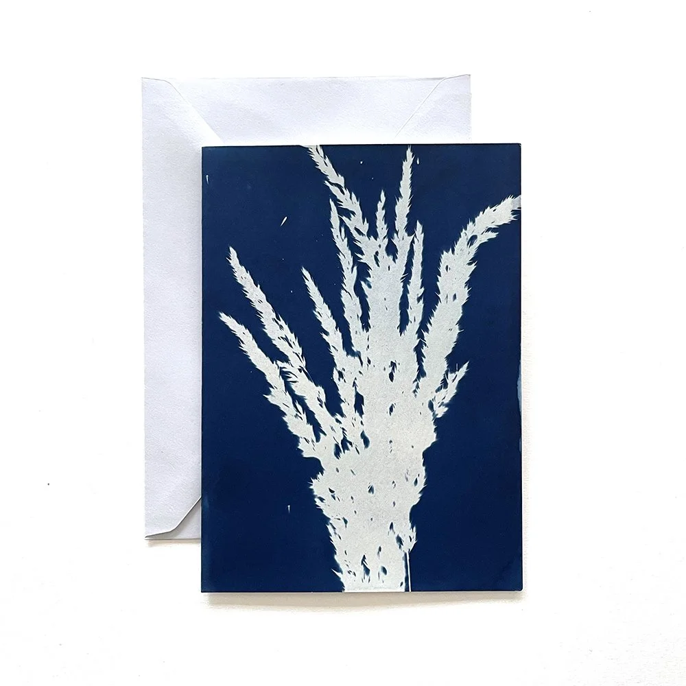Cyanotype Greeting Card