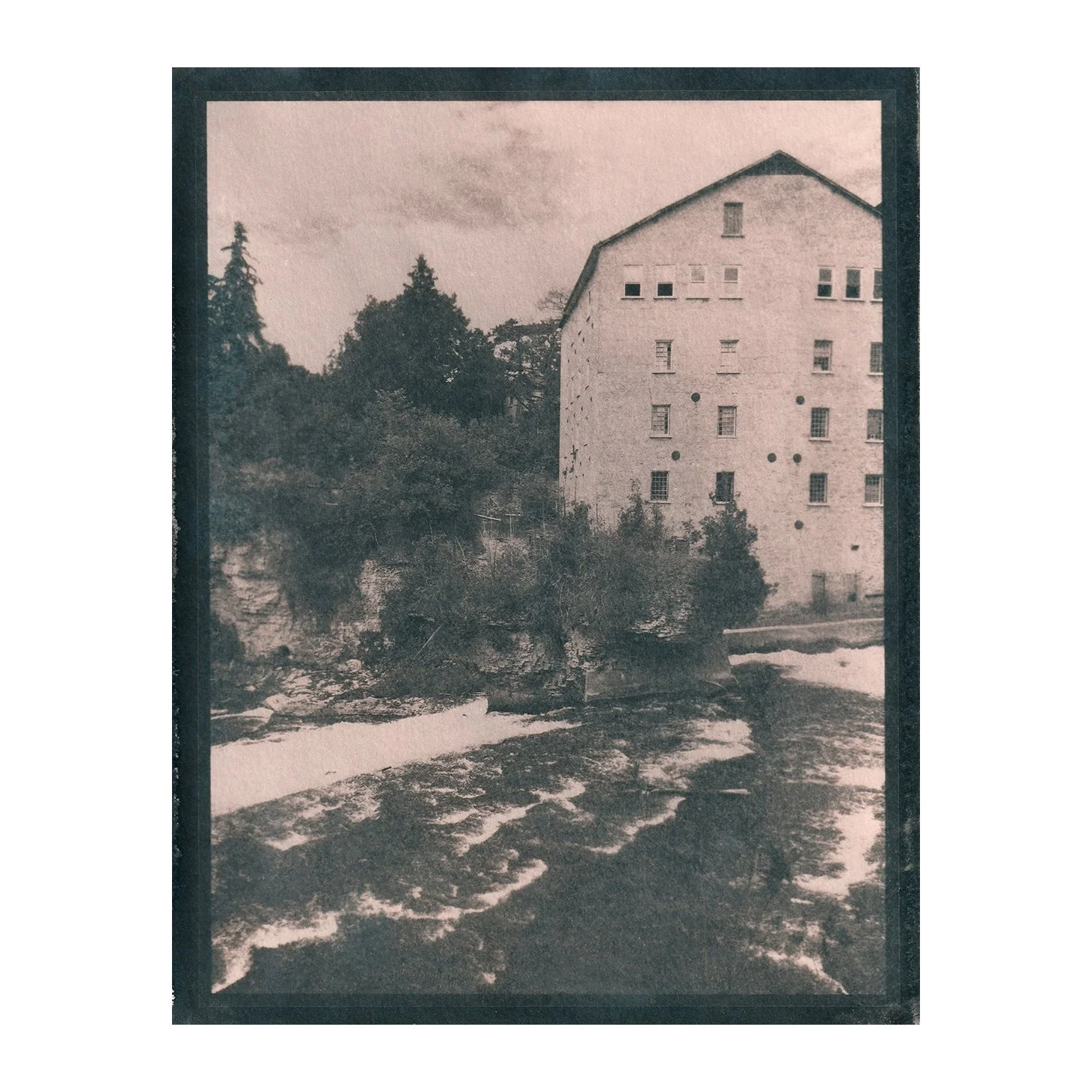 Cyanotype Print