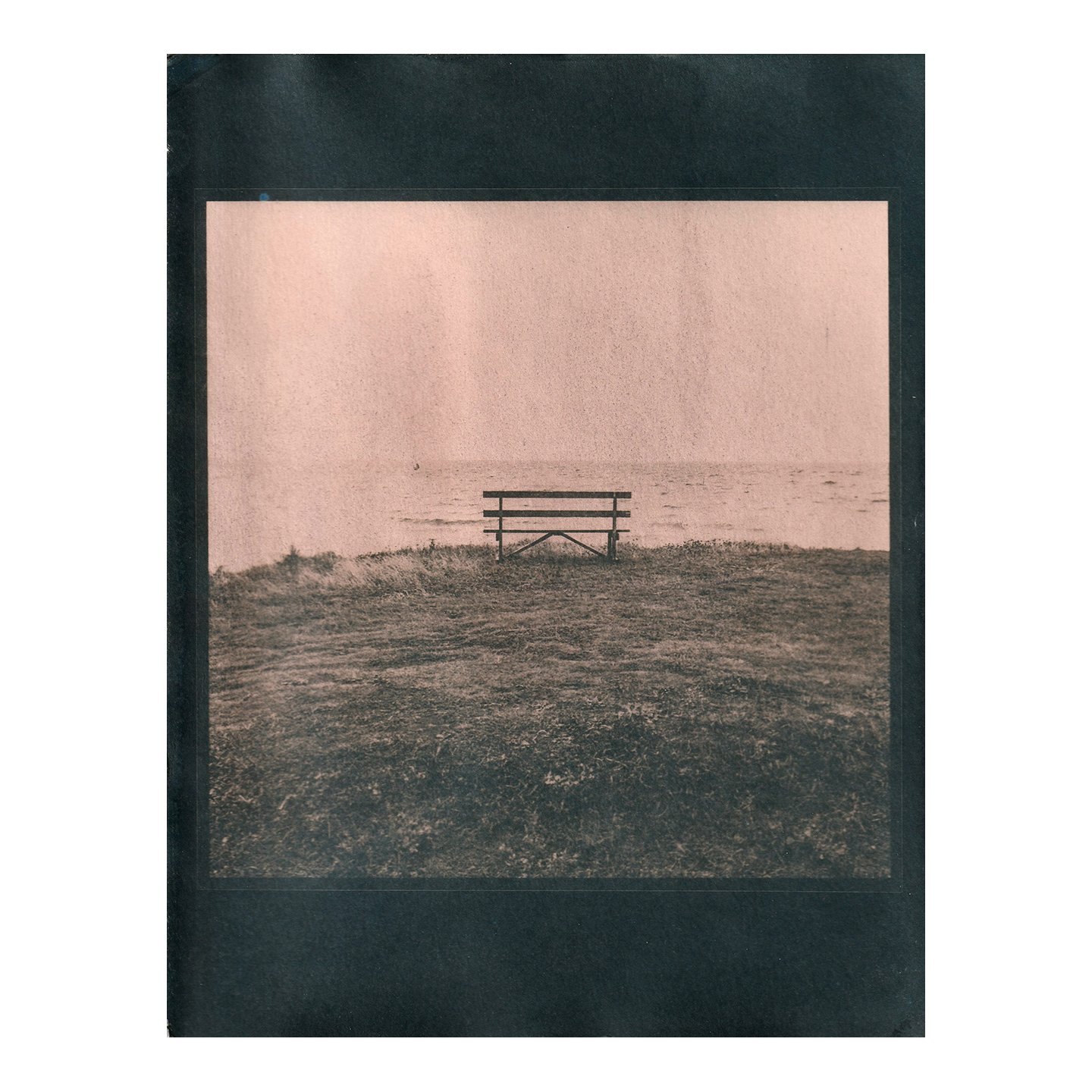 Cyanotype Print