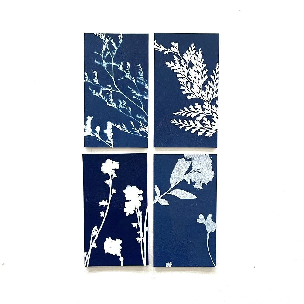 Cyanotype Magnets - Set of 4