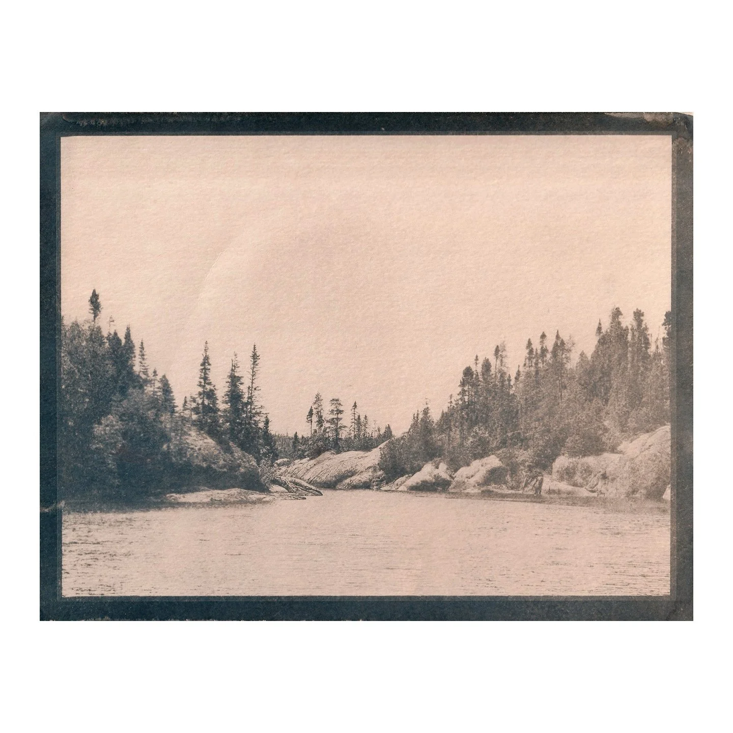 Cyanotype Print