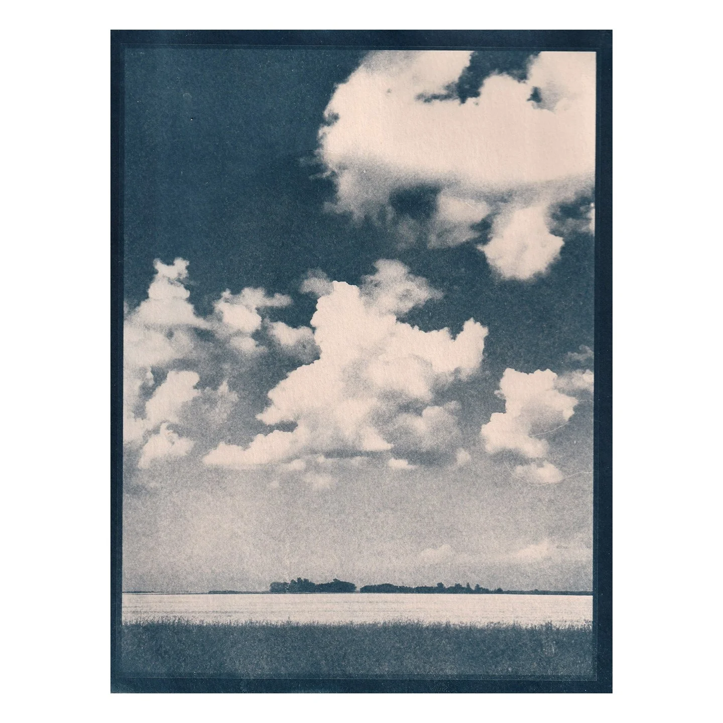 Cyanotype Print