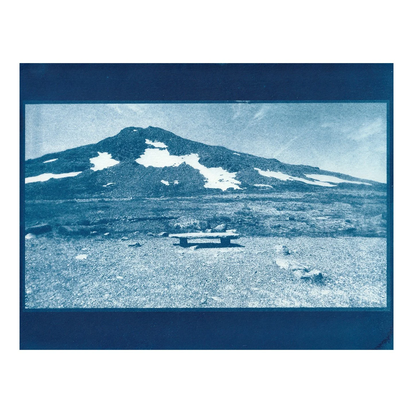 Cyanotype Printing
