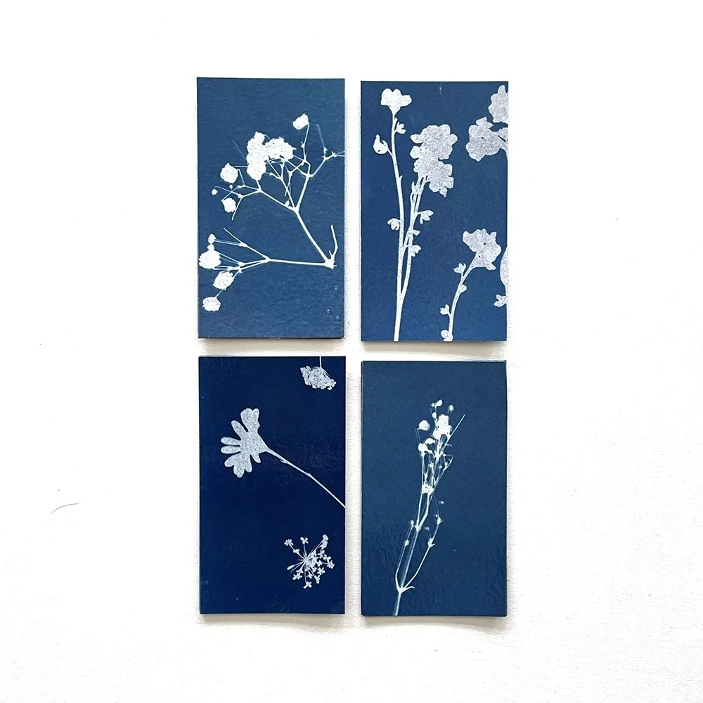 Cyanotype Magnets - Set of 4