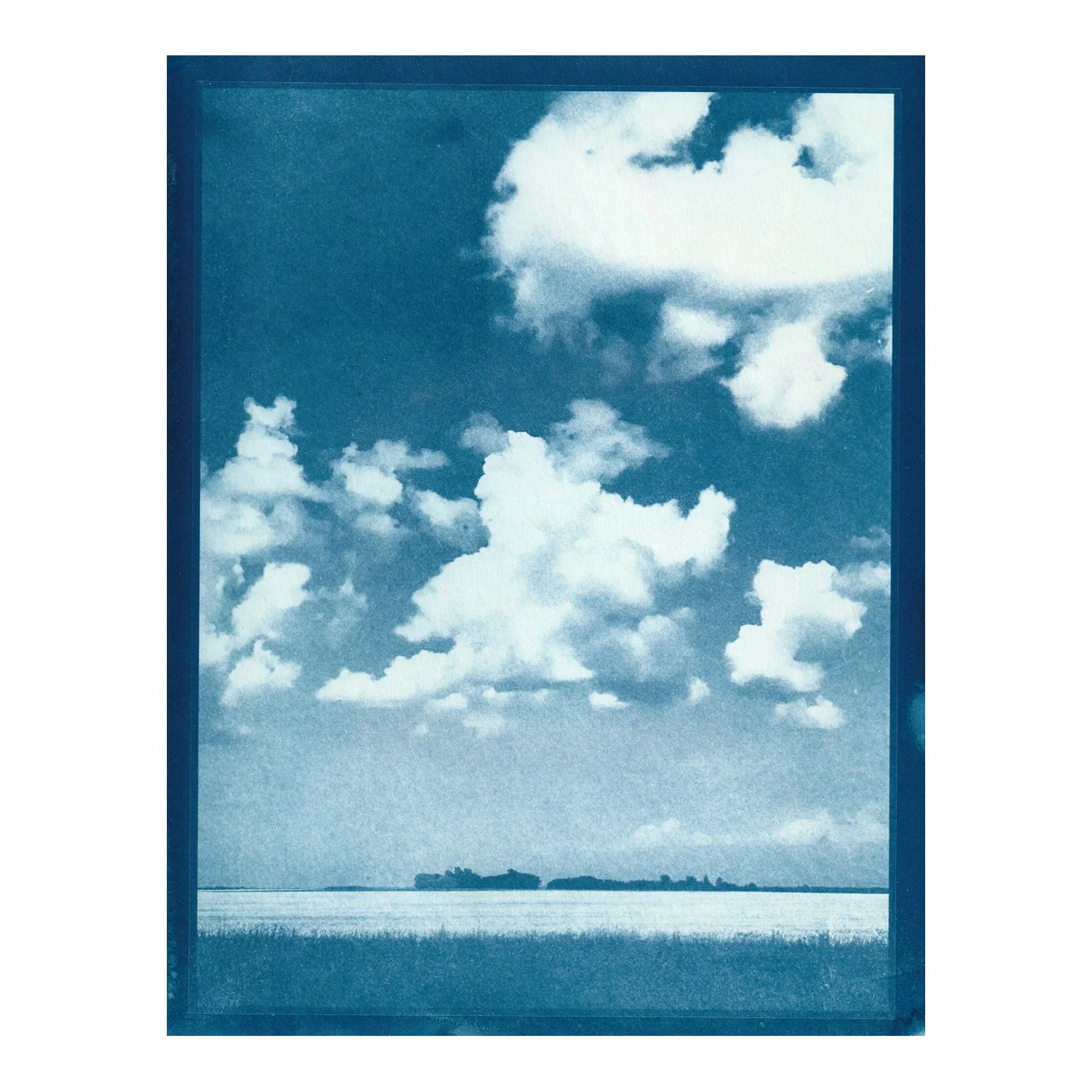 Cyanotype Print