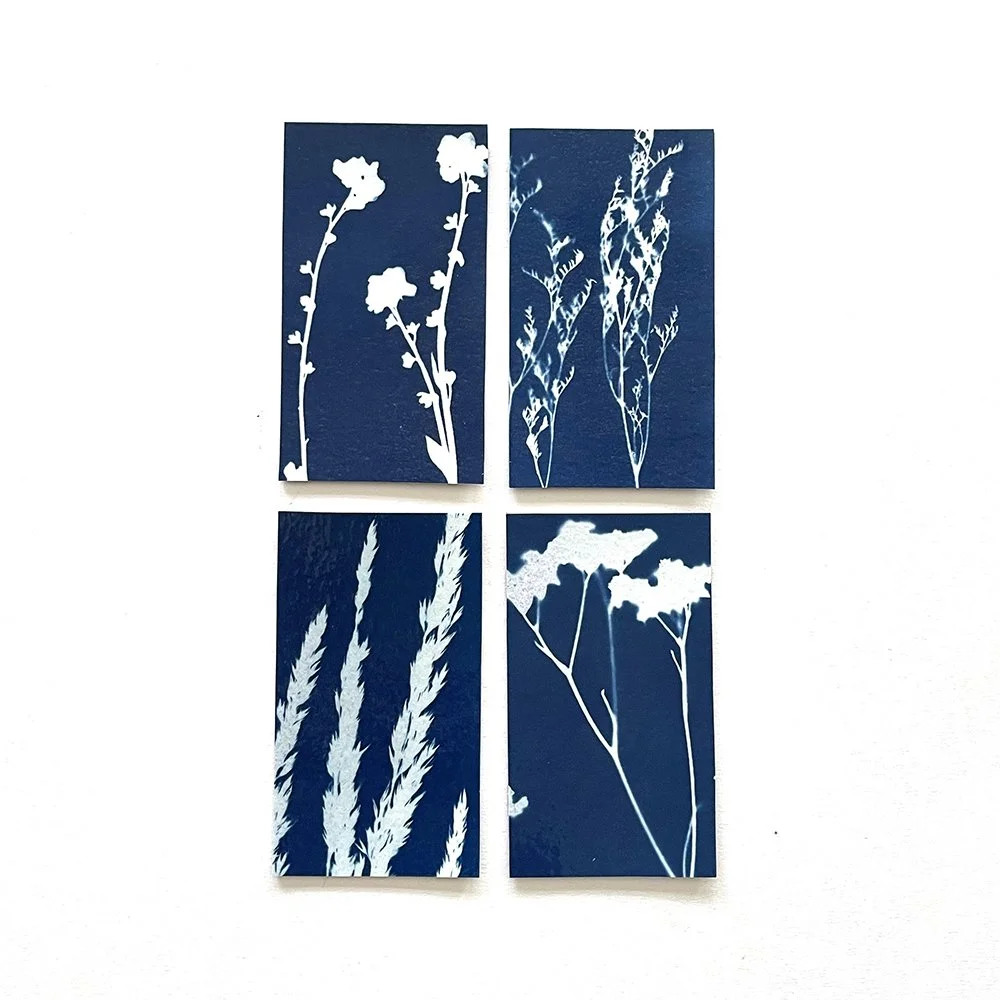 Cyanotype Magnets - Set of 4
