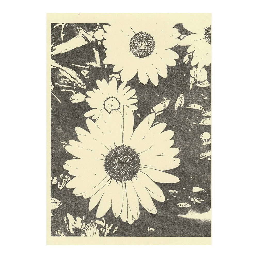 Image Transfer Print - 5" x 7"