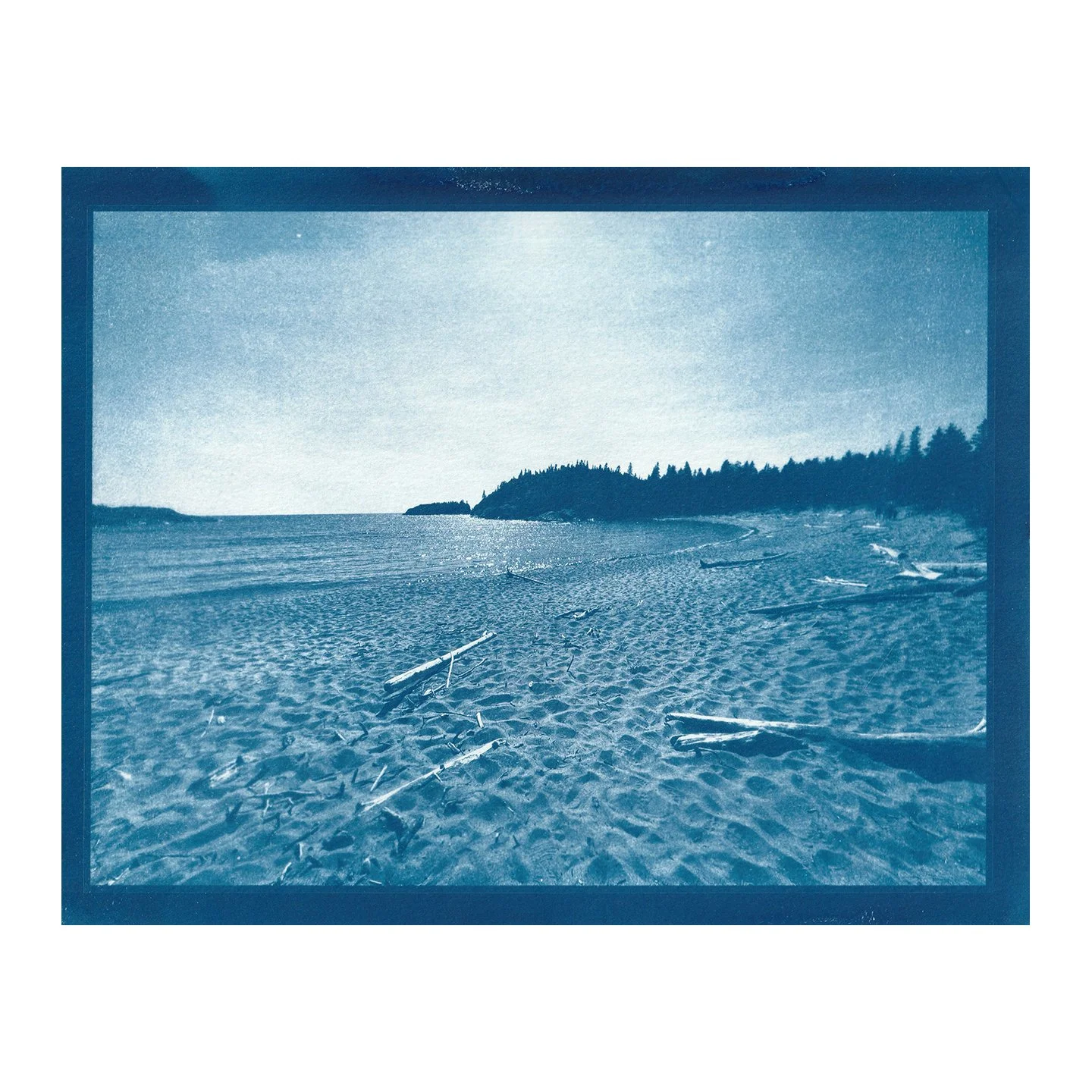 Cyanotype Print
