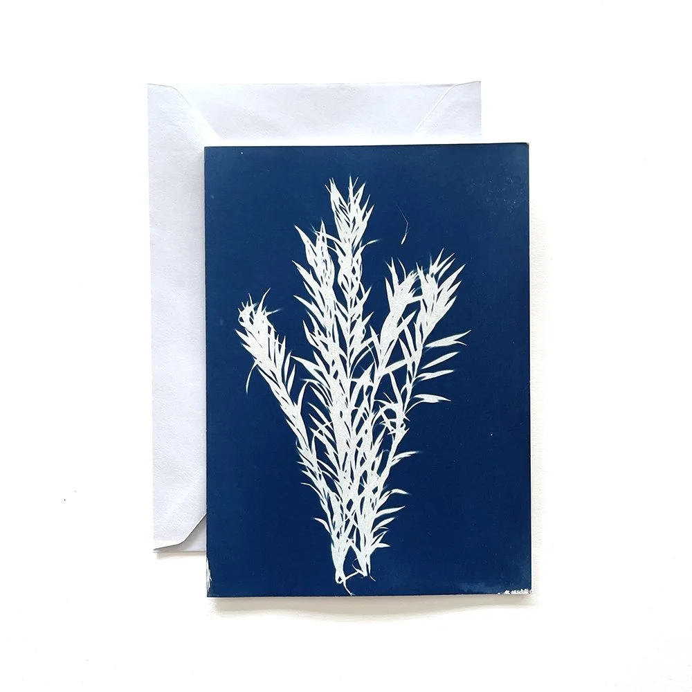 Cyanotype Greeting Card