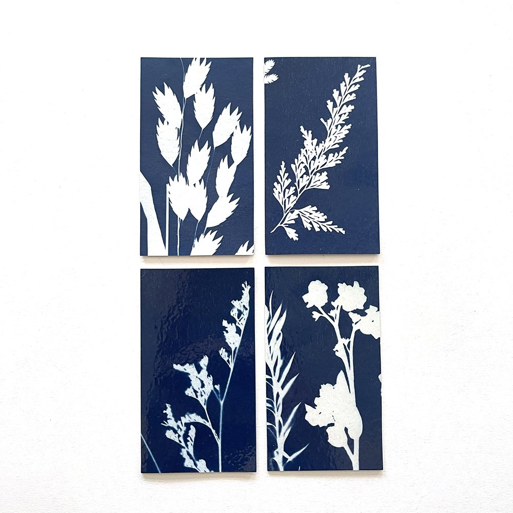 Cyanotype Magnets - Set of 4
