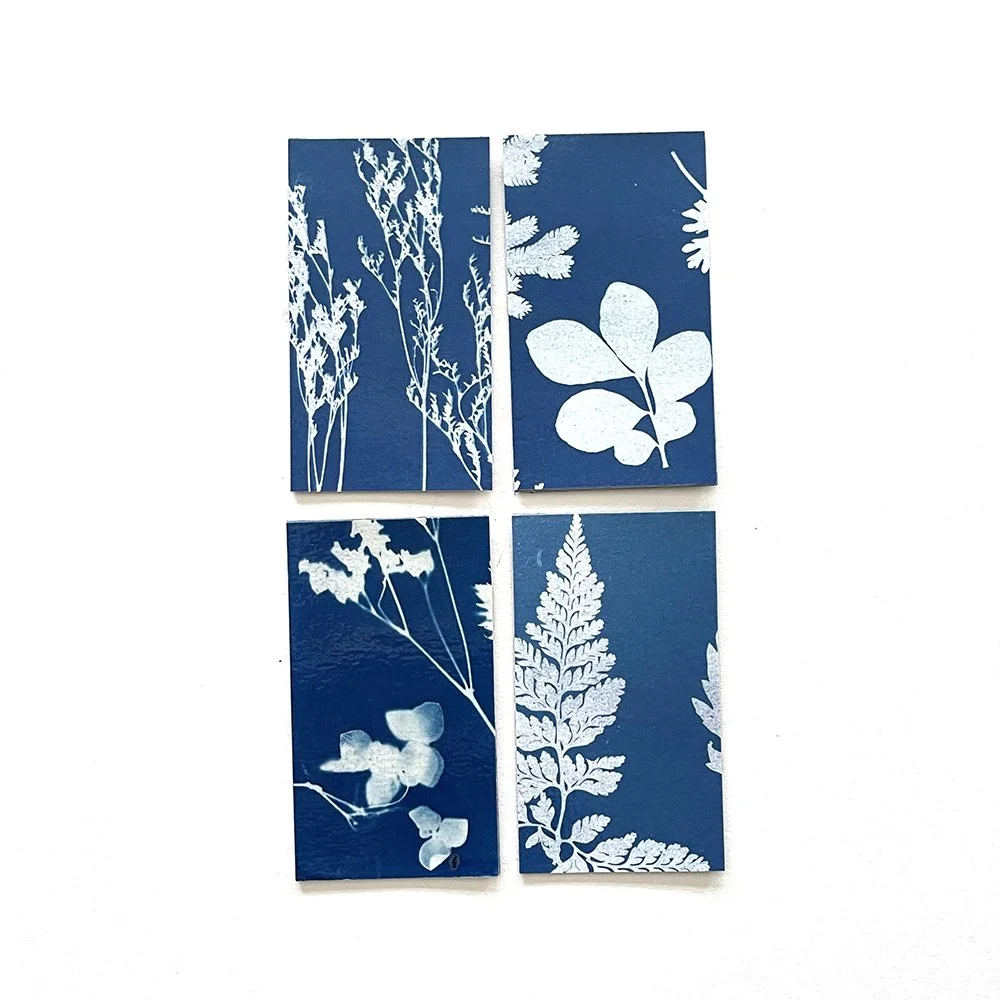 Cyanotype Magnets - Set of 4