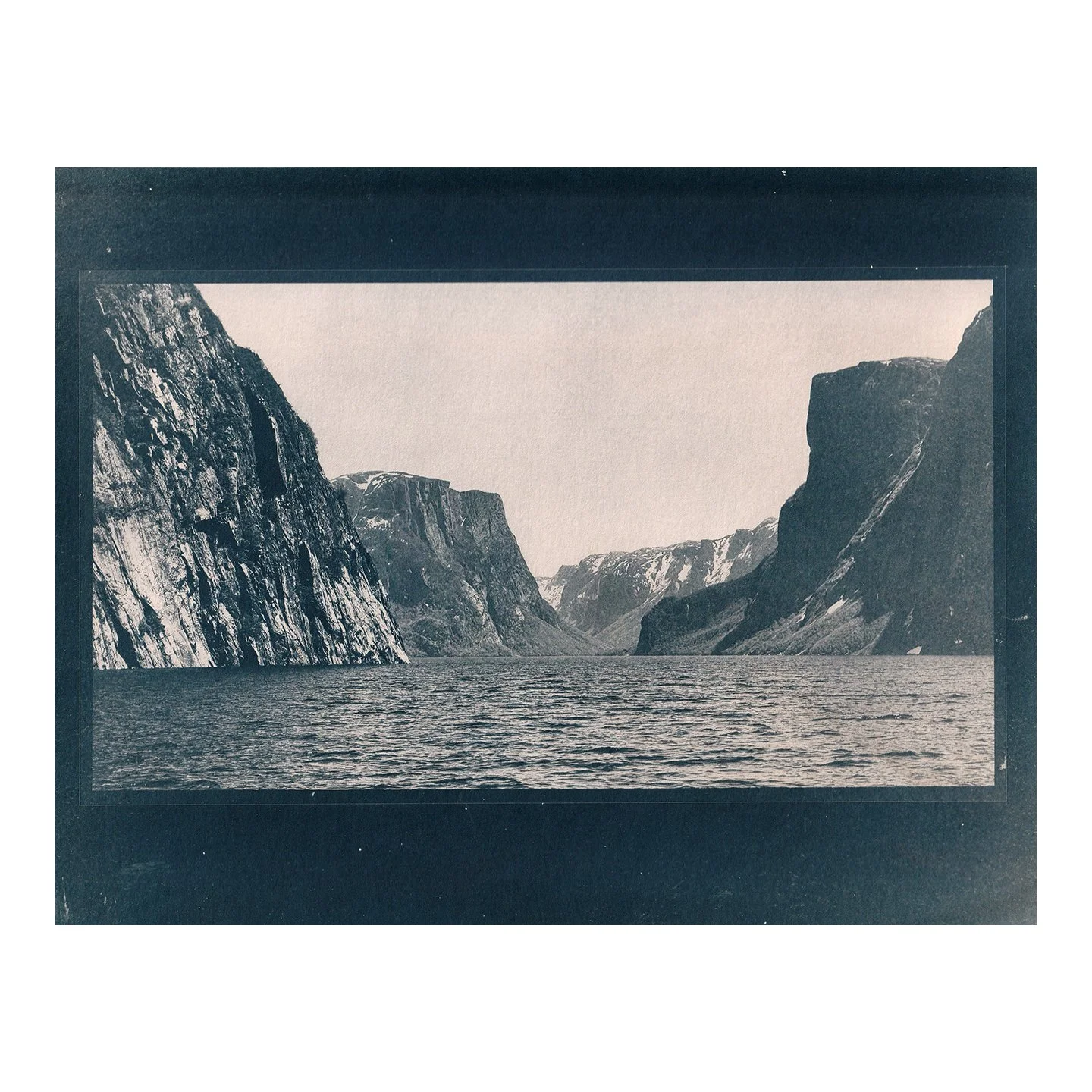 Cyanotype Print
