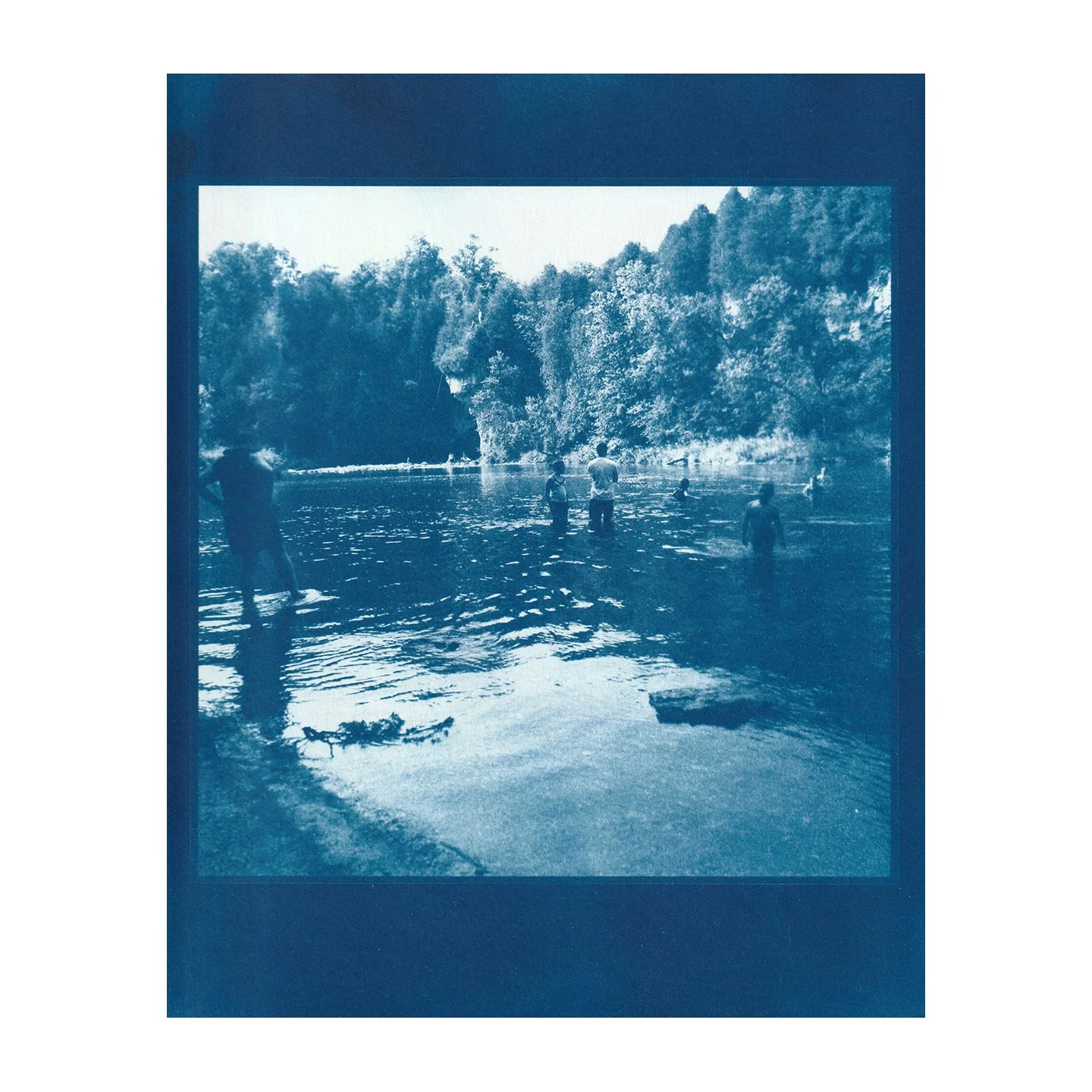 Cyanotype Print