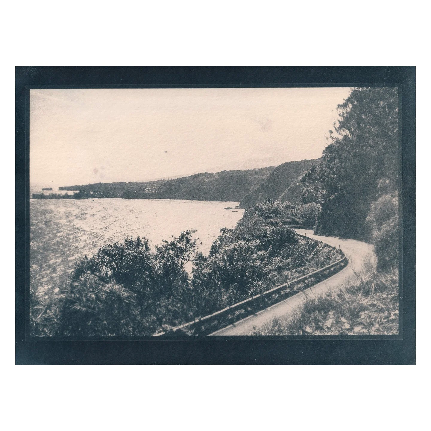 Cyanotype Print