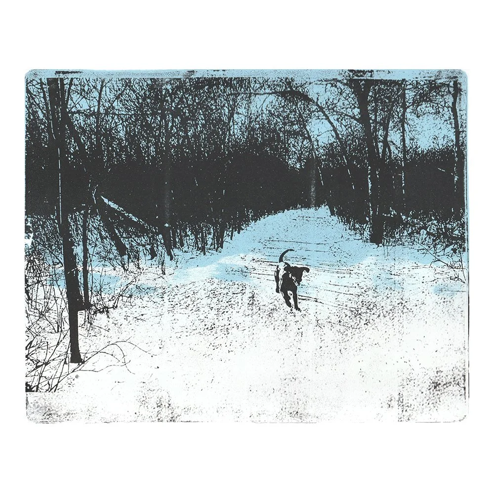 Image Transfer Print