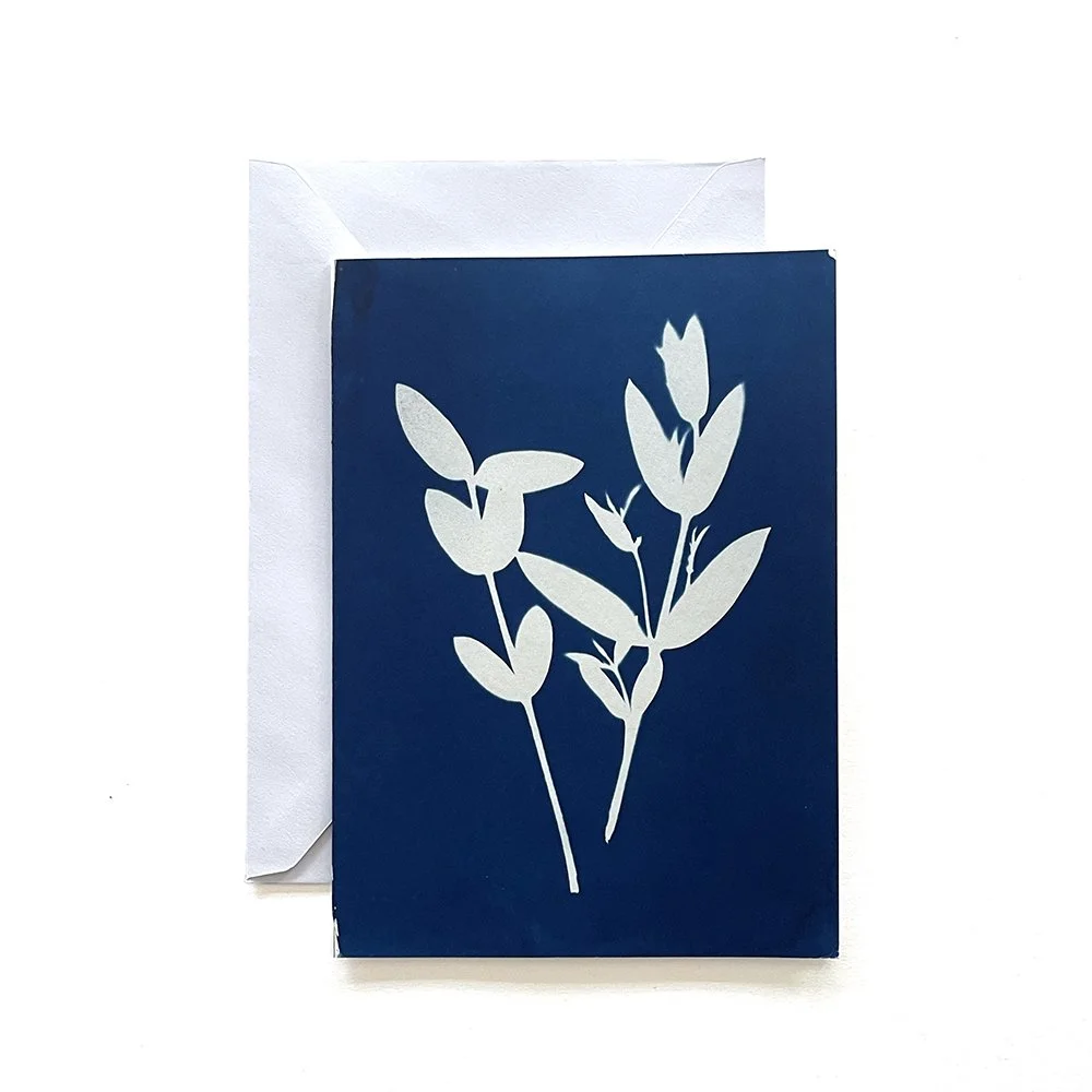 Cyanotype Greeting Card