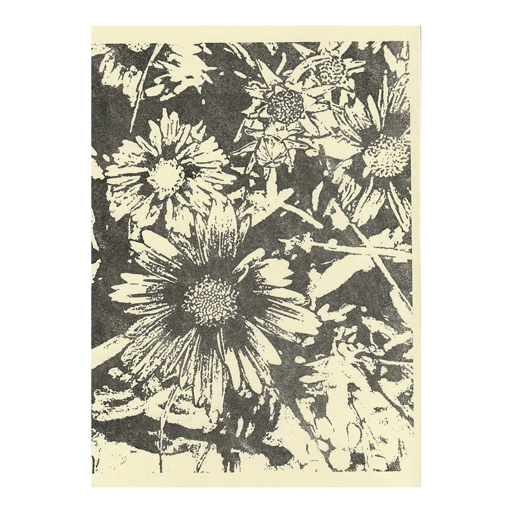 Image Transfer Print - 5" x 7"