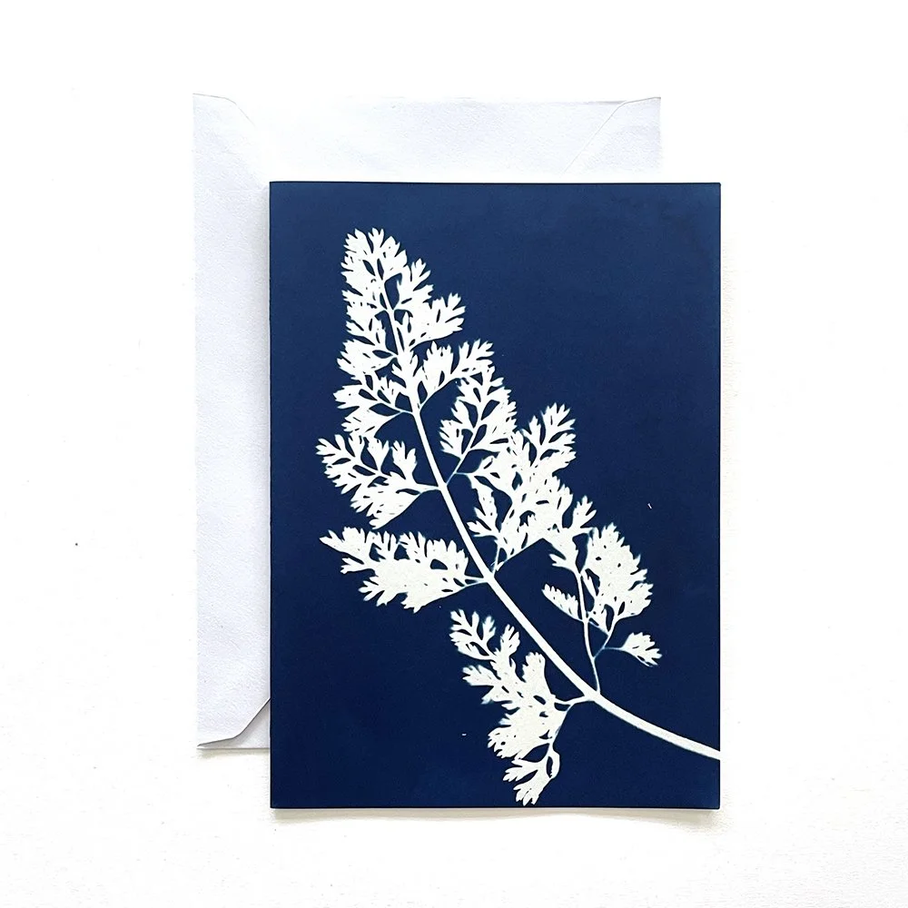 Cyanotype Greeting Card