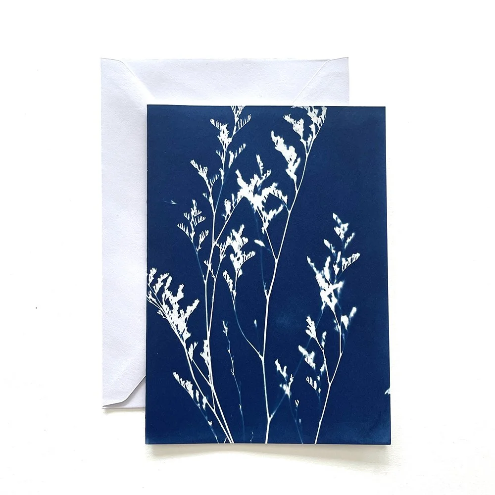 Cyanotype Greeting Card