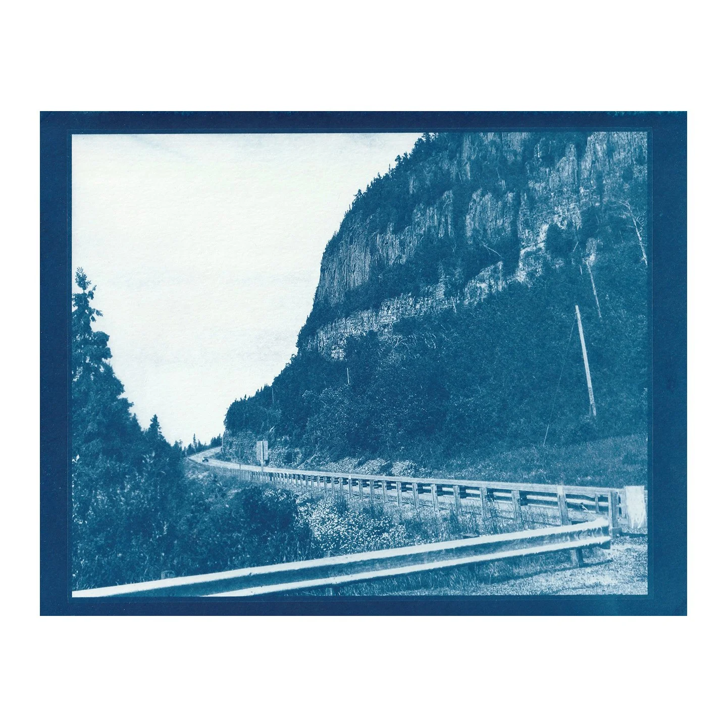Cyanotype Print