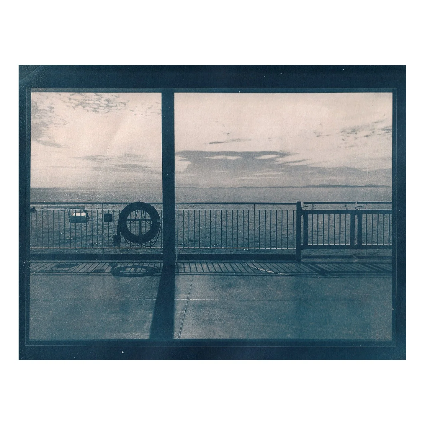 Cyanotype Print