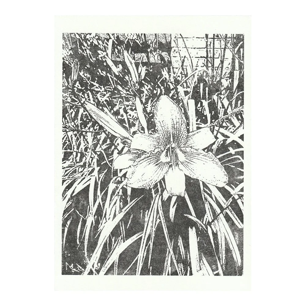 Image Transfer Print - 5" x 7"