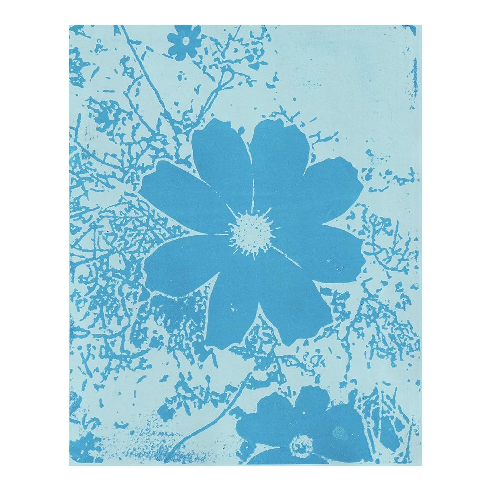Image Transfer Print