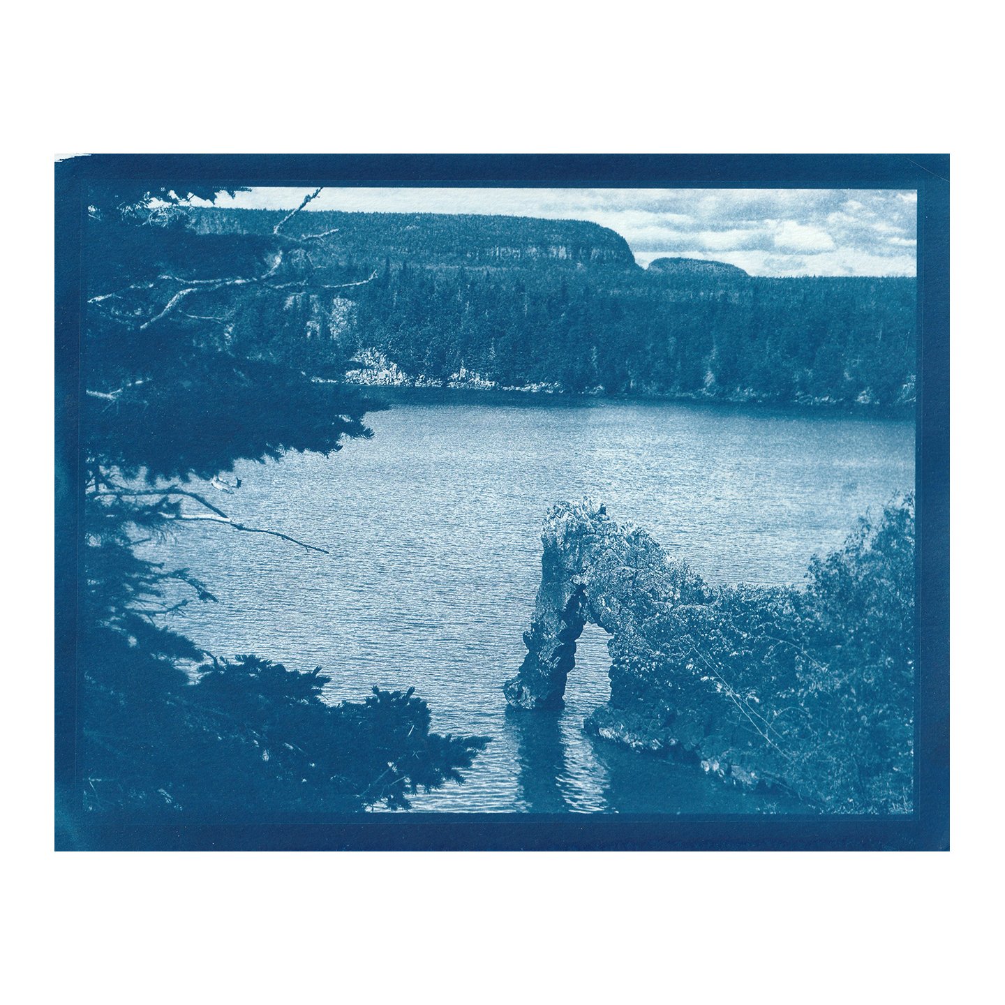 Cyanotype Print
