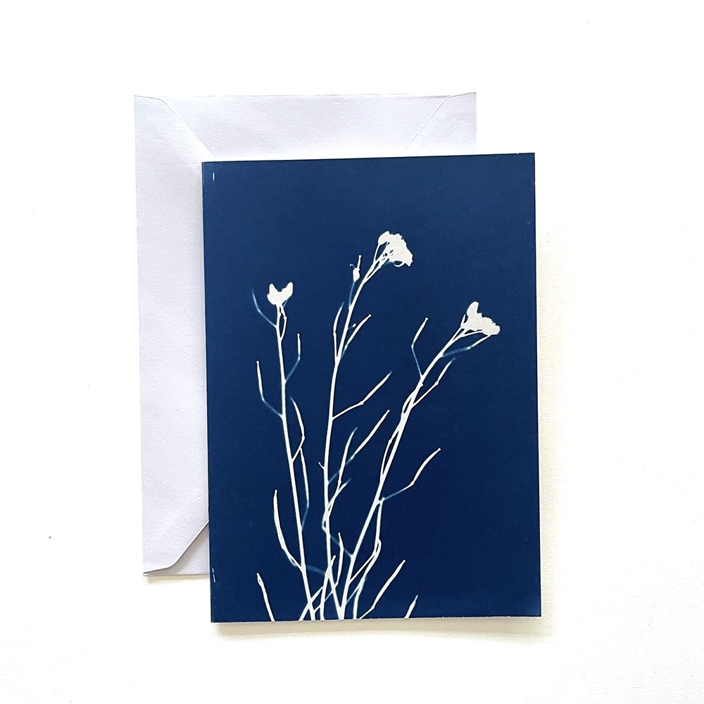 Cyanotype Greeting Card