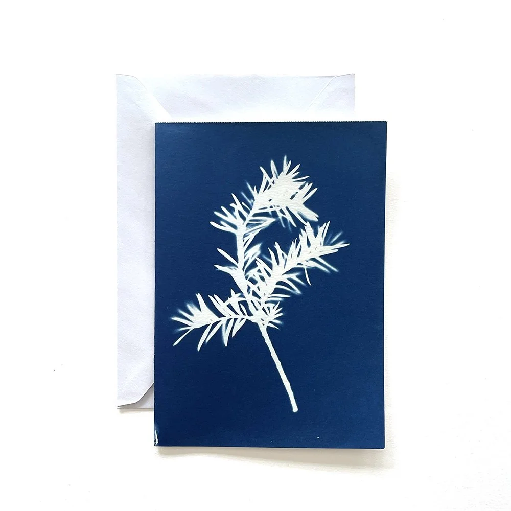 Cyanotype Greeting Card