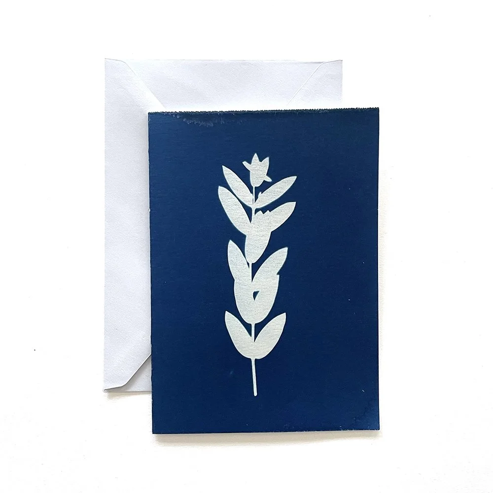 Cyanotype Greeting Card