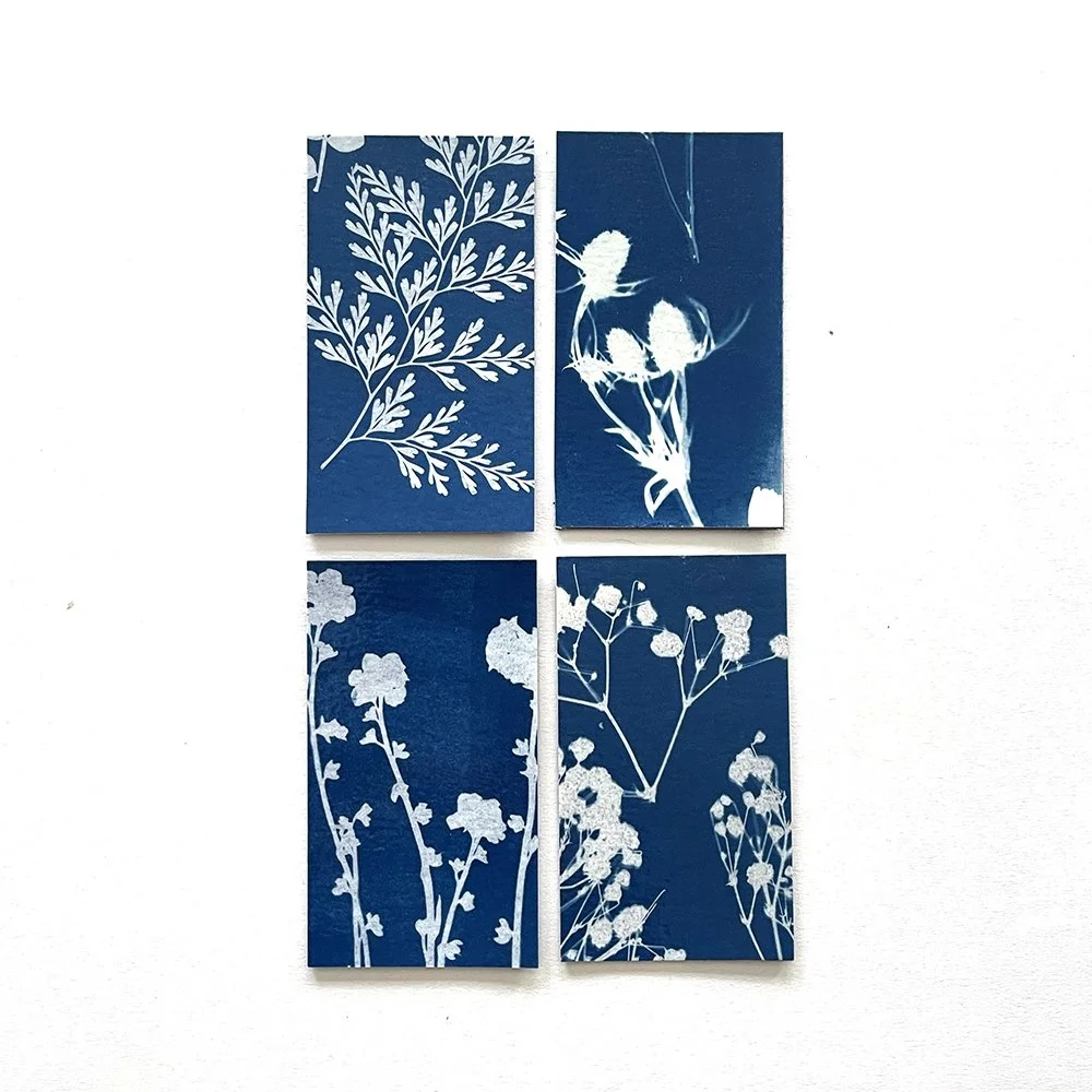 Cyanotype Magnets - Set of 4