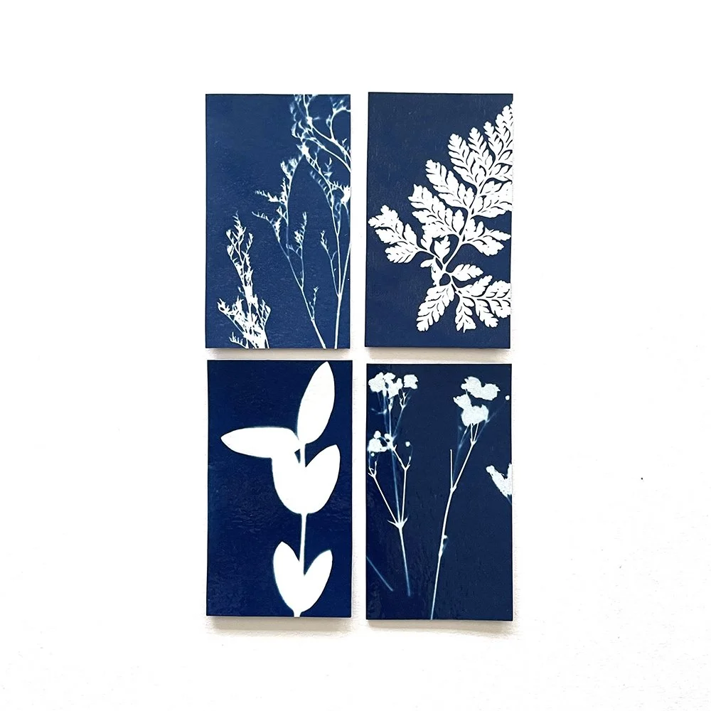 Cyanotype Magnets - Set of 4