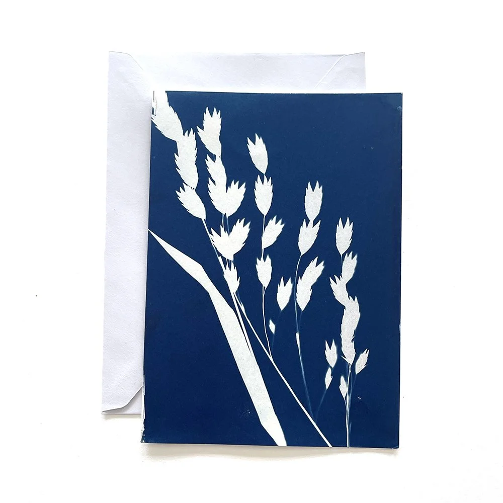 Cyanotype Greeting Card